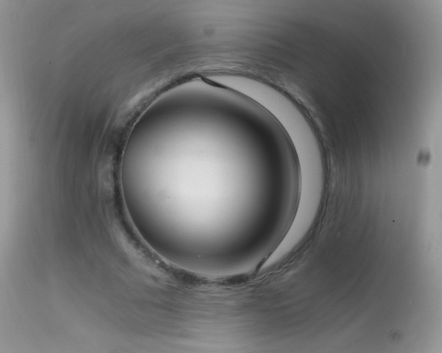 X0000114640681200910201443