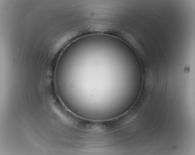X0000114640683200910201443