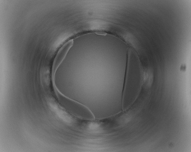 X0000114640684200910201443