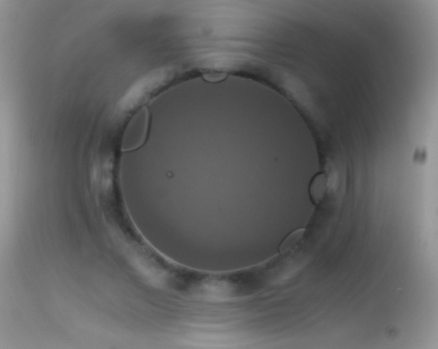 X0000114640685200910201443