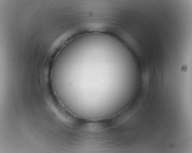 X0000114640686200910201443