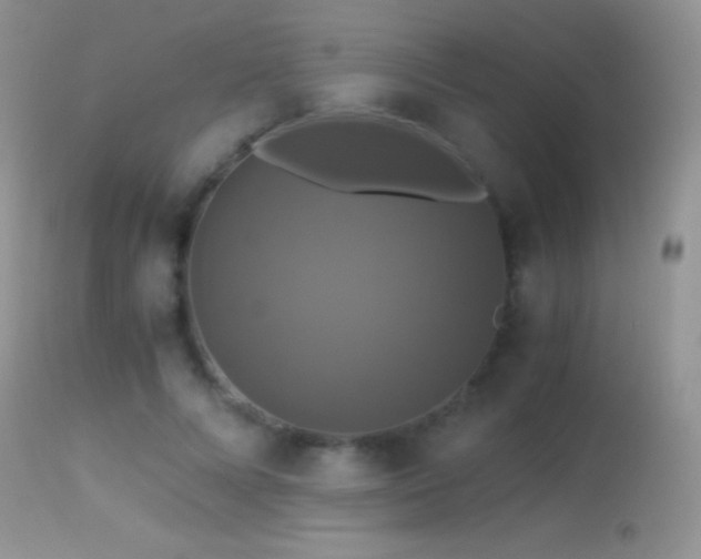 X0000114640688200910201443