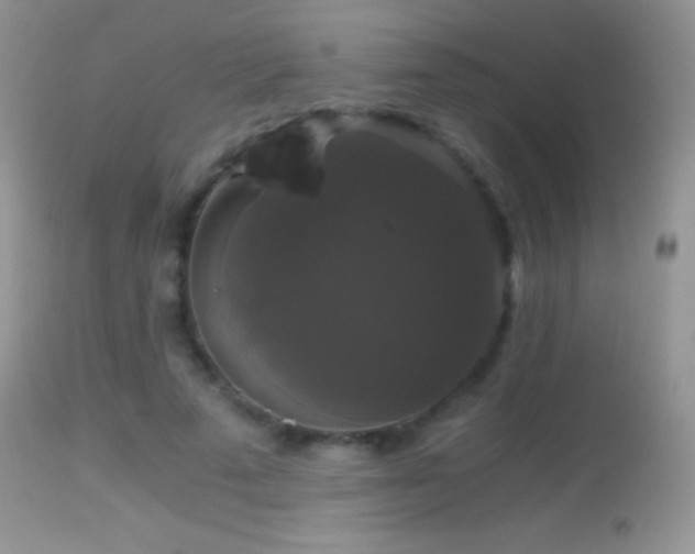 X0000114640689200910201443