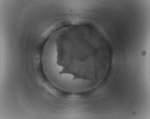 X0000114640691200910201443