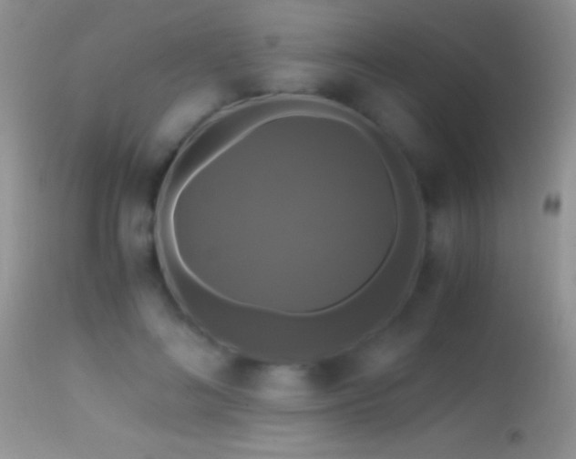 X0000114640692200910201443