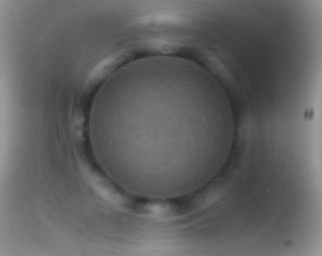 X0000114640693200910201443