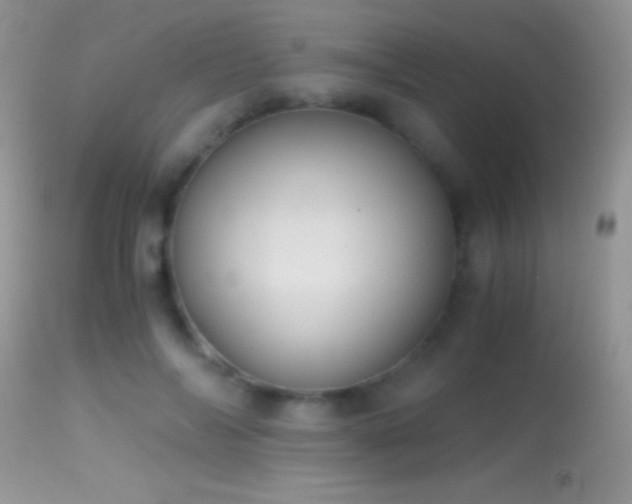 X0000114640694200910201443