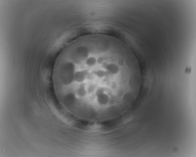 X0000114640695200910201443