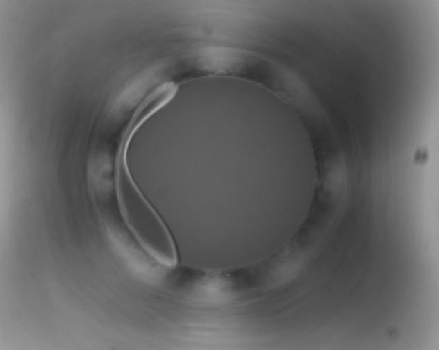X0000114640696200910201443