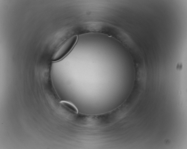 X0000114640697200910201443