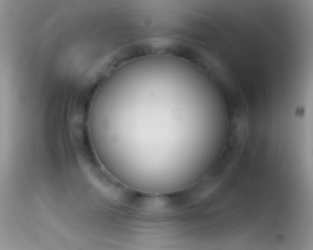 X0000114640698200910201443