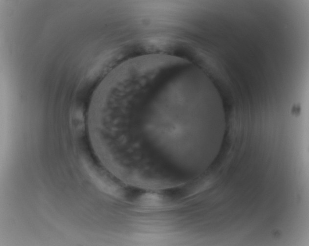 X0000114640699200910201443