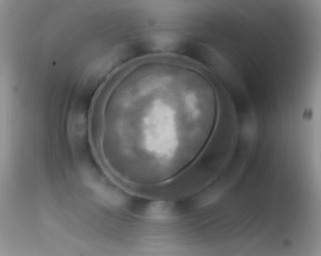 X0000114640700200910201443