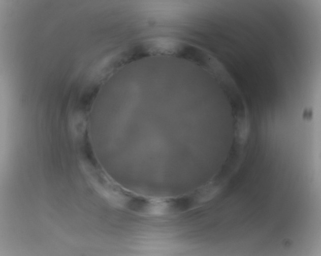 X0000114640701200910201443