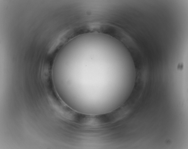X0000114640702200910201443