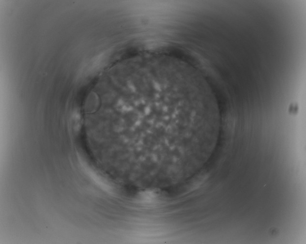 X0000114640703200910201443