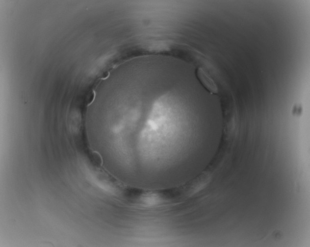 X0000114640704200910201443