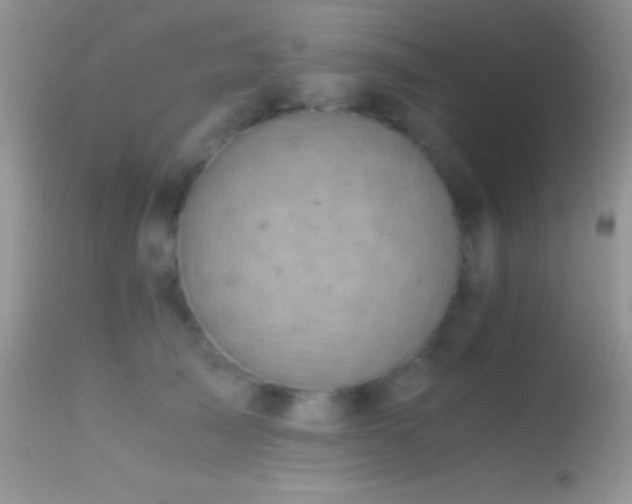 X0000114640705200910201443