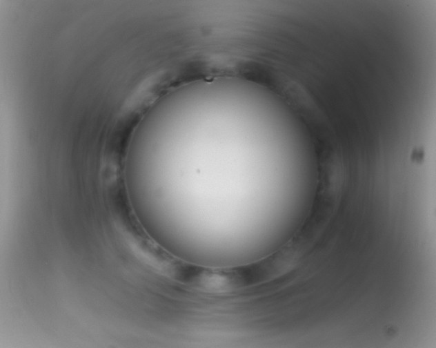 X0000114640706200910201443