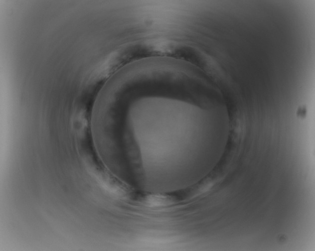 X0000114640707200910201443