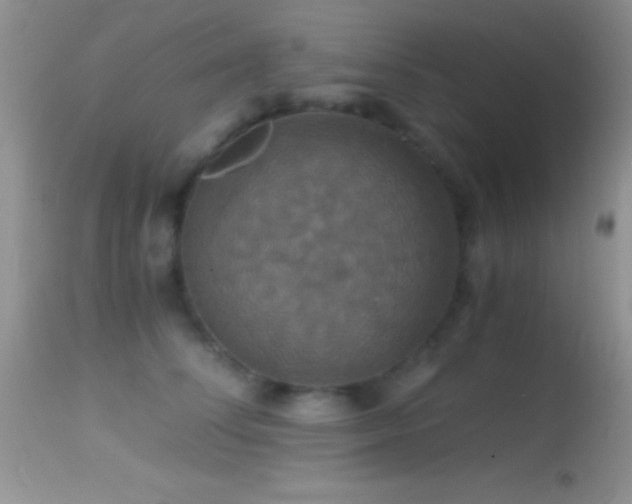 X0000114640708200910201443