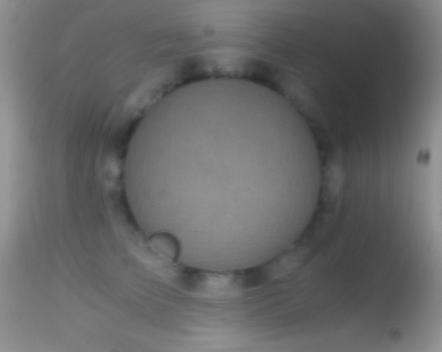 X0000114640709200910201443
