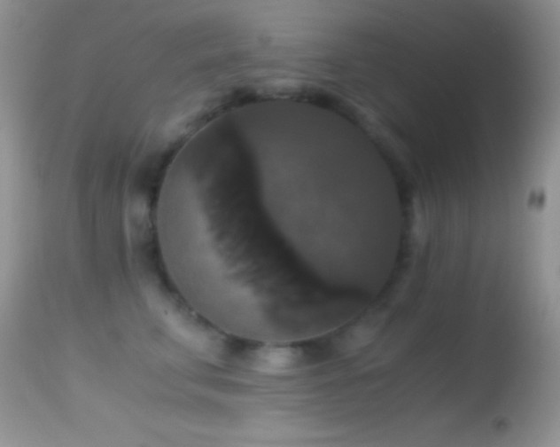 X0000114640711200910201443