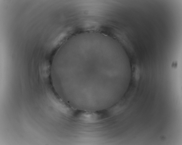 X0000114640712200910201443