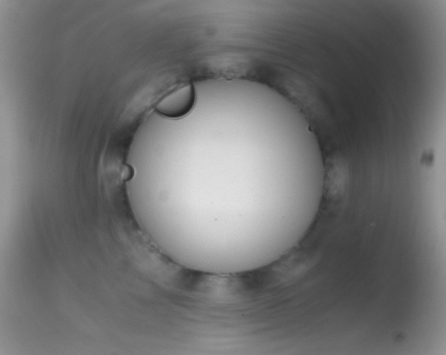 X0000114640713200910201443