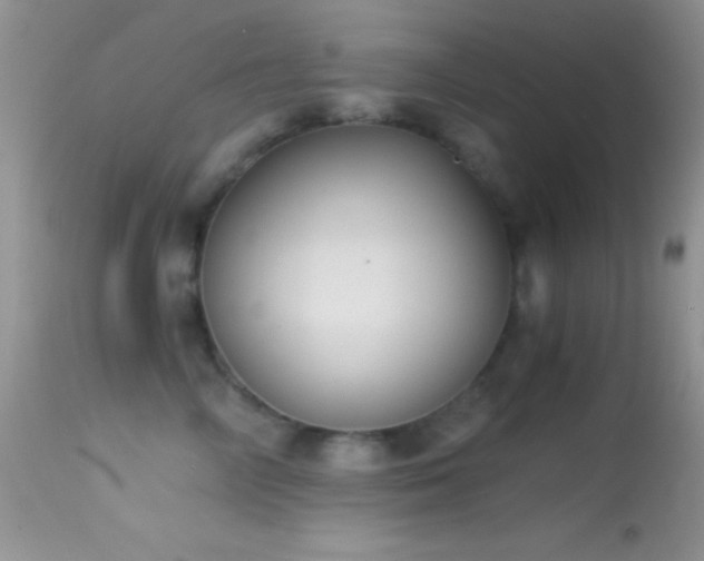 X0000114640714200910201443