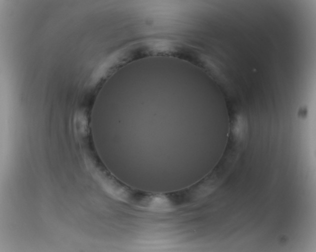 X0000114640715200910201443