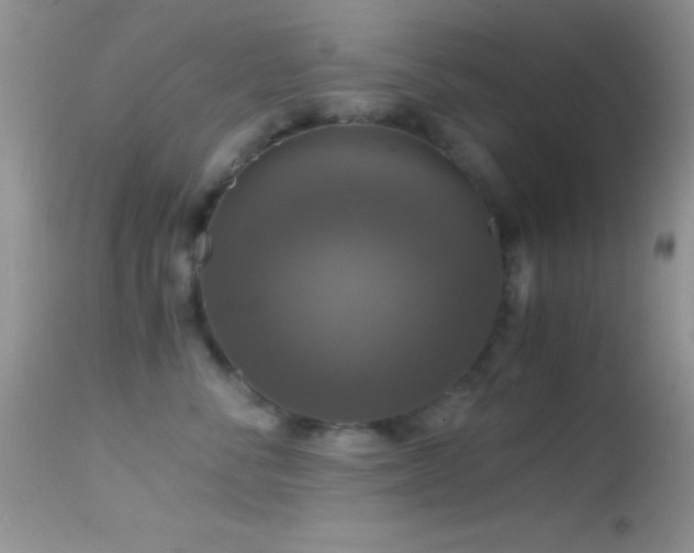 X0000114640716200910201443