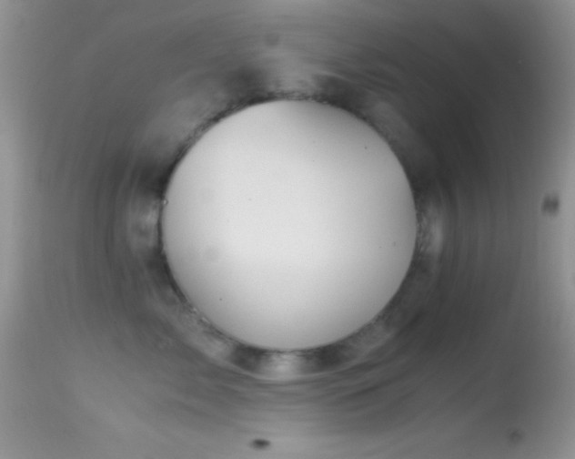 X0000114640717200910201442
