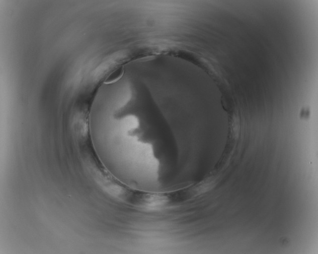 X0000114640719200910201442