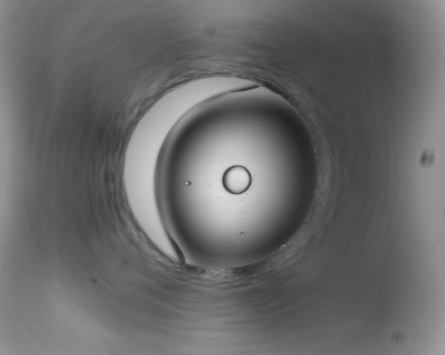 X0000114640720200910201442