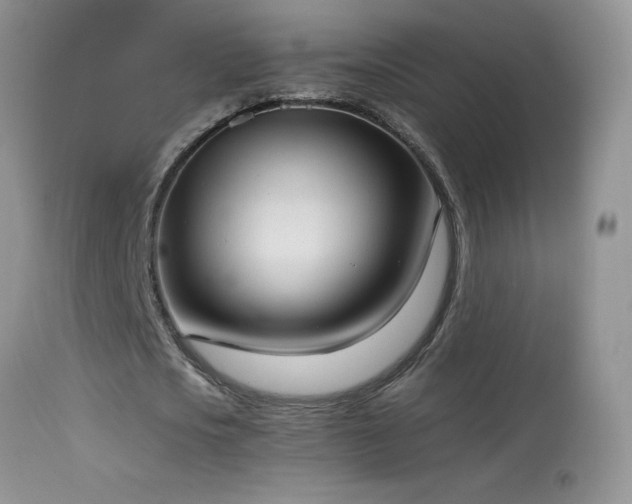X0000114640721200910201442