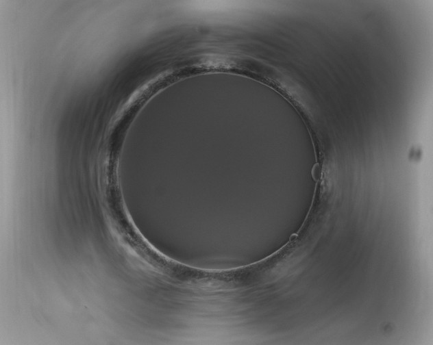 X0000114640722200910201442