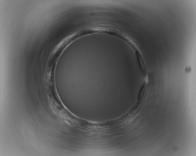 X0000114640723200910201442