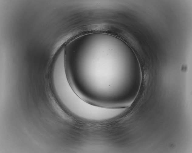 X0000114640725200910201442