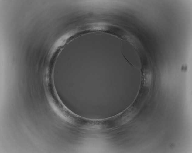 X0000114640726200910201442