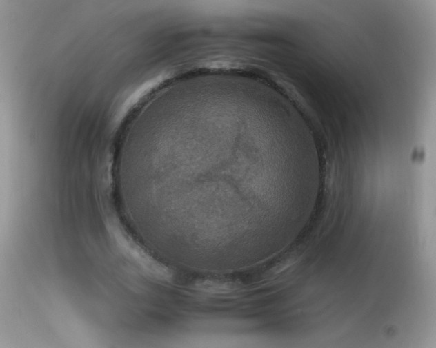 X0000114640727200910201442