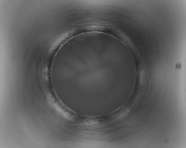 X0000114640729200910201442