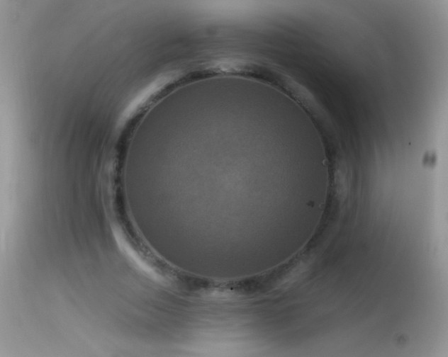 X0000114640730200910201442