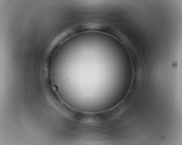 X0000114640731200910201442