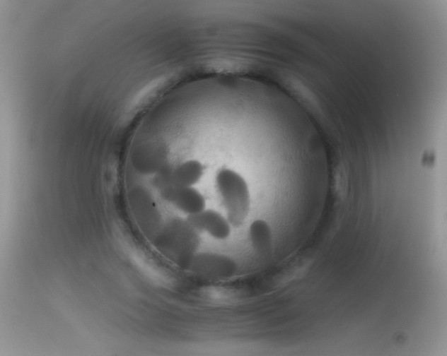 X0000114640733200910201442