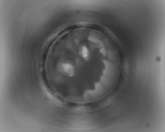 X0000114640734200910201442