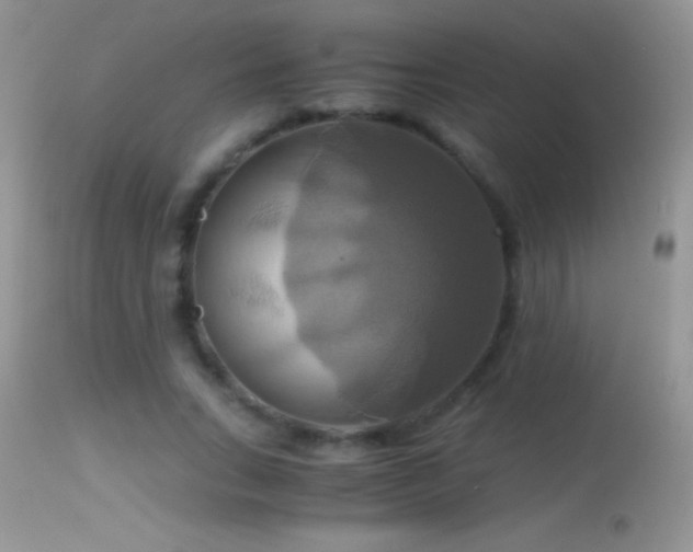 X0000114640735200910201442