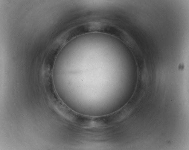 X0000114640737200910201442