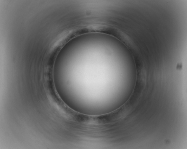 X0000114640738200910201442