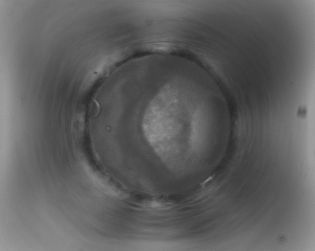 X0000114640739200910201442